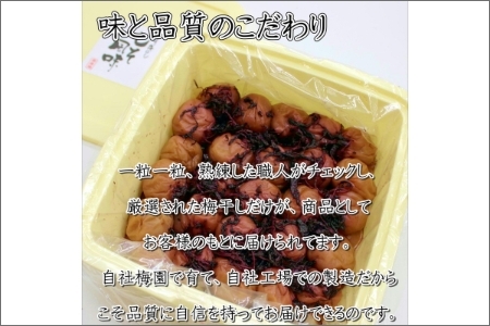 【0464-6】紀州南高梅使用 しそ梅(塩分15%) 1.5kg（和歌山県産）