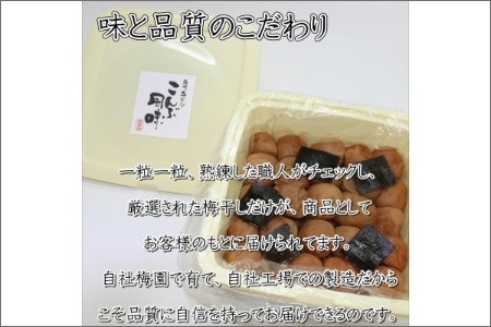 【0515-6】紀州南高梅使用 こんぶ風味梅干 1.5kg(和歌山県産)