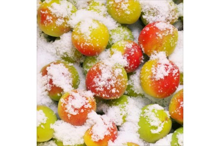 【0519-4】贈答 紀州南高梅 はちみつ梅木樽入り 1kg