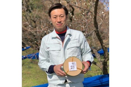 【0519-4】贈答 紀州南高梅 はちみつ梅木樽入り 1kg