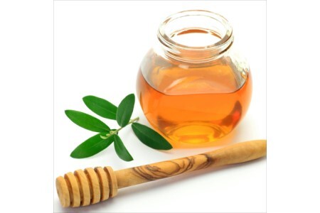 【0457-4】紀州南高梅 はちみつ梅(塩分8%) 2kg（和歌山県産）