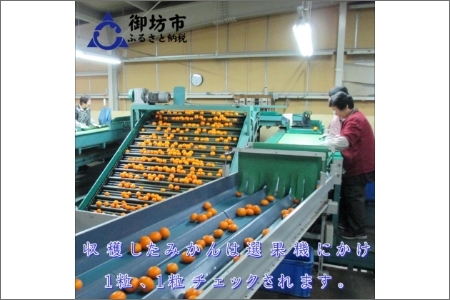 【0553-3】御坊市・日高川町・由良町産 温州みかん（ゆらっ子）5kg《先行予約》