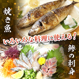 【0008-2】御坊産　鮮魚セット5kg【配送不可地域】沖縄・北海道・東北・九州