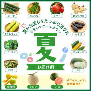 【0055-2】旬の新鮮野菜・フルーツ詰め合わせ