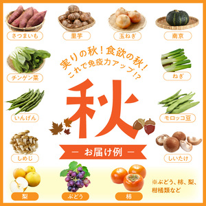 【0055-2】旬の新鮮野菜・フルーツ詰め合わせ