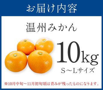 【0059-3】「濃厚な味のとろける美味しさ」温州みかん 10kg《先行予約》