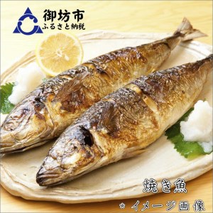 【8001-2】御坊産鮮魚セット 2.5kg 【定期便】(年4回お届け)