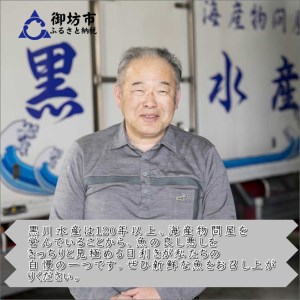 【8001-2】御坊産鮮魚セット 2.5kg 【定期便】(年4回お届け)