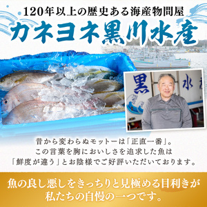 【8002-2】御坊産鮮魚セット 5kg 【定期便】(年4回お届け)【配送不可地域】沖縄・北海道・東北・九州