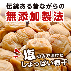 昔ながらのしょっぱい梅干し 2kg 中粒2L（白干梅）［無添加］ すっぱい梅干 和歌山県産 紀州南高梅