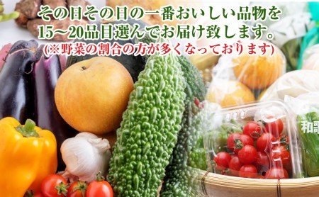 紀州の野菜・果物セット定期便（15～20品目）年6回