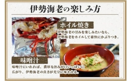 【0595-2】冷凍伊勢海老カット（サイズ不揃い）約1ｋｇ