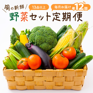 定期便 旬の新鮮野菜セットA【毎月お届け12回】たっぷり15品以上