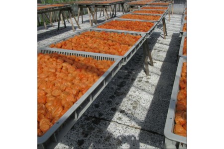 【0634-3】木箱入り梅干し　うすしお味8粒はちみつ味4粒