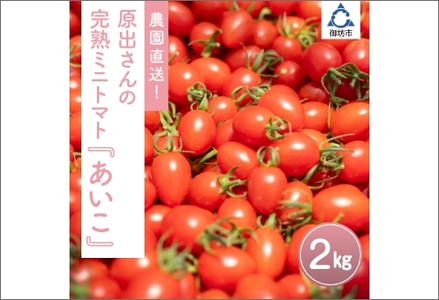 【0233-2】農園直送！原出さんの完熟ミニトマト（あいこ）
