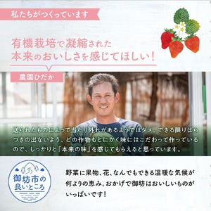 【0233-2】農園直送！原出さんの完熟ミニトマト（あいこ）