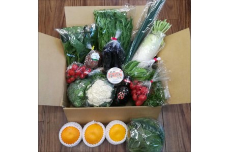 【0700-2】季節の野菜・果物・特産品お楽しみ詰め合わせセットB