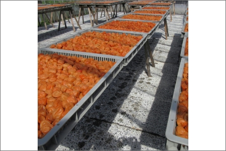 【0728-3】薬師梅贈答用　木箱入梅干し『蜜』はちみつ味　800ｇ