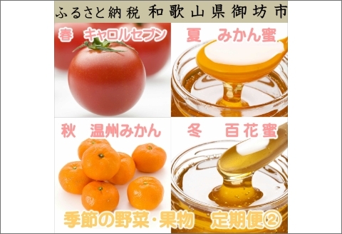 【8015】御坊市　旬の野菜・果物定期便（春・夏・秋・冬）4回　B