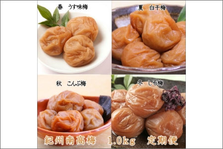 【8025-2】紀州南高梅1kgの定期便（春・夏・秋・冬）4回 A