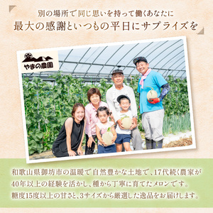 【0927-3】やまの農園 感謝のメロン～一期一会「くらま」～1玉≪先行予約≫【2026年7月中旬より順次発送予定】