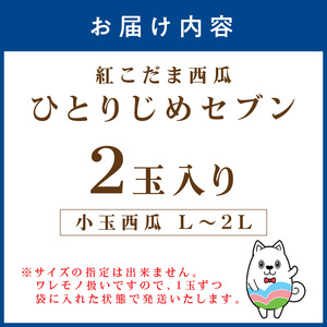 【0896-3】紅こだま西瓜(ひとりじめセブン)2玉入り〈先行予約〉2026年5月中旬から順次発送
