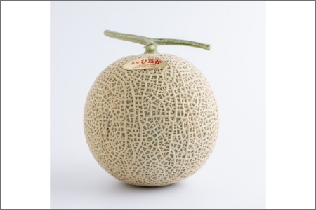 【0268-2】農園直送！原出さんのアールスメロン！（マスクメロン）《先行予約》【2026年7月中旬頃から順次発送予定】