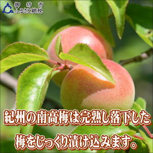 【0918-4】【家庭用】紀州南高梅　かつお梅　1.2ｋｇ