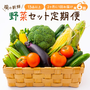 定期便 旬の新鮮野菜セットB【年6回】たっぷり15品以上