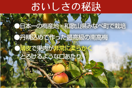 幸せのはちみつ梅干(紀州南高梅)1kg A級 大粒 3L以上 和歌山県産 うめぼし 梅干し 梅 1キロ 送料無料 ふるさと納税 梅干し はちみつ