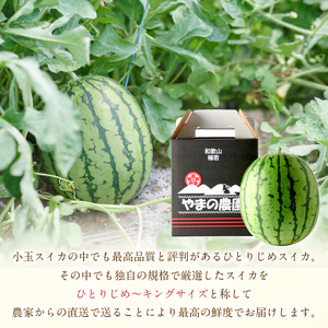 【1087-3】やまの農園　「ひとりじめ」キングサイズ　1玉≪先行予約≫【2026年6月中旬より順次発送予定】