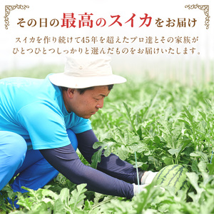 【1087-3】やまの農園　「ひとりじめ」キングサイズ　1玉≪先行予約≫【2026年6月中旬より順次発送予定】