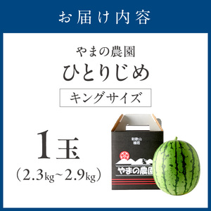 【1087-3】やまの農園　「ひとりじめ」キングサイズ　1玉≪先行予約≫【2026年6月中旬より順次発送予定】
