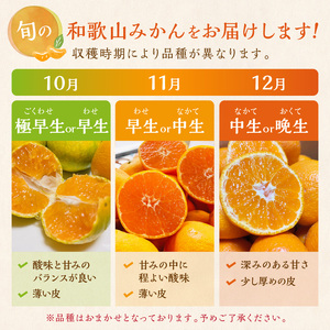 【0819-5】【産地直送】ご家庭用紀州和歌山みかん 約5kg《先行予約》