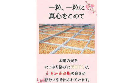 梅干し そのまんま白干梅 A級品梅干し 計750g（250g×3個） / 梅干し 梅干 白干し梅干し 梅 紀州南高梅 紀州梅干し A級 和歌山梅干し 和歌山県産 田辺市 南高梅 白干し梅 無添加 しょっぱい梅干し 昔ながらの梅干し なつかしい ご家庭に梅干し【kfo015-1】