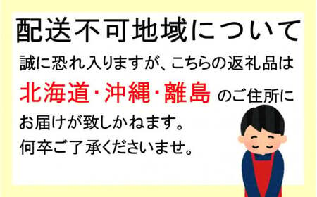 先行予約 すもも（フランコ）1kg ※6月中旬～7月中旬頃に順次発送予定【期間限定・2025/6/20まで】 / すもも スモモ 和歌山すもも お取り寄せすもも 期間限定 夏 フルーツ 果物 サンタローザ 和歌山県 田辺市【mtm008-1】