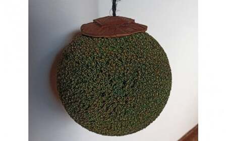 龍神の杉玉(小) / 和歌山県 田辺市 龍神村 酒林 飾り インテリア 【rjm002】