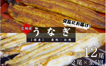 【6カ月定期便】【交互にお届け】国産うなぎ蒲焼 (2本) タレ付×3回　国産うなぎ白焼 (2本) 醤油・わさび付き×3回 / 定期便 毎月お届け 和歌山 田辺市 国産 国産うなぎ 国産鰻 うなぎ 鰻 鰻丼 うな丼 土用の丑の日 【ots031-tk】