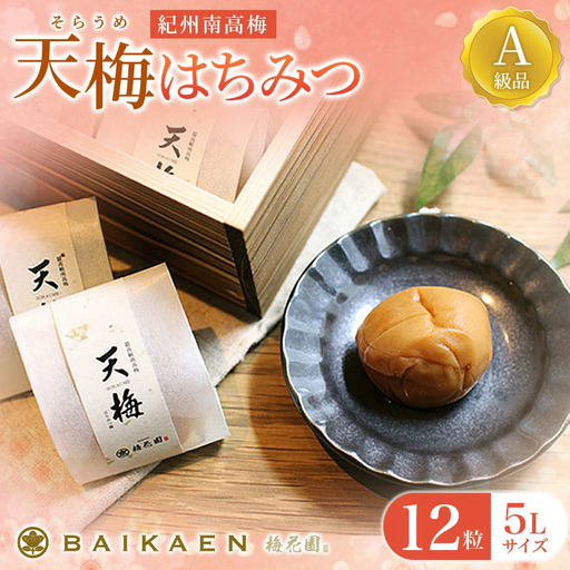 紀州南高梅 天梅(そらうめ)はちみつ 12粒 個包装 塩分約7％ A級品 大粒5Lサイズ 木箱入り / 梅干し 梅干 うめぼし 南高梅 国産 梅 うめ ウメ はちみつ梅 健康 ご飯のお供 贈答 贈り物 和歌山県 田辺市 【bik007】