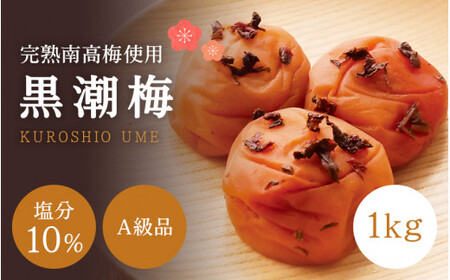 【A級品】紀州南高梅 黒潮梅 1kg 塩分10％ / 梅干し 梅干 うめぼし 南高梅 国産 梅 うめ ウメ 完熟 しそ 紫蘇 シソ かつお 鰹 カツオ 健康 ご飯のお供 昔ながら 贈り物 ギフト プレゼント お取り寄せ せんのうめ 和歌山県 田辺市 仙宝【spo004-2】