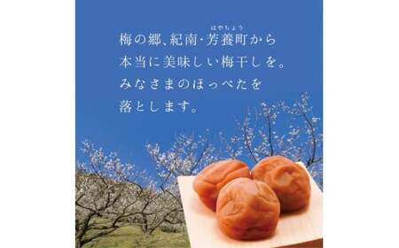 梅干し 【A級品】紀州南高梅 文左(ぶんざ) 1kg 塩分9％ うす塩梅干し / 梅干し 【spo005-1】