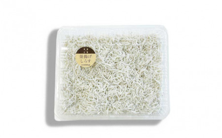 ご家庭用　和歌山県産　釜揚げしらす（冷凍）1kg/ しらす丼 丼ぶり シラス 冷蔵 ギフト お取り寄せ 和歌山県 田辺市 【mst025-r】