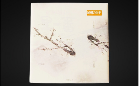 伝統の梅 白干梅 塩分20％ 500g/和歌山 梅干し 田辺市 紀州南高梅 南高梅 梅干 梅 うめ しょっぱい梅干し 昔ながらの梅干し【ktk019】 