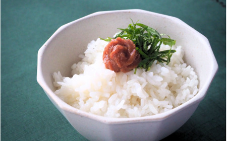 ねり梅/和歌山 梅干し 田辺市 紀州南高梅 南高梅 梅干 梅 うめ【ktk030】