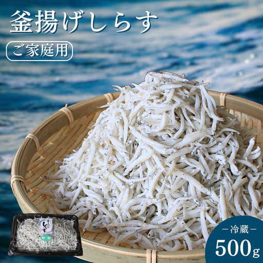 釜揚げしらす（ご家庭用）500g※北海道・沖縄・離島配送不可 / しらす丼 丼ぶり シラス 家庭用 冷蔵 お取り寄せ 和歌山県 田辺市【has001-3】