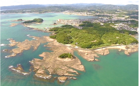 【返礼品なし】天神崎の自然を守るための寄附【tjz006】