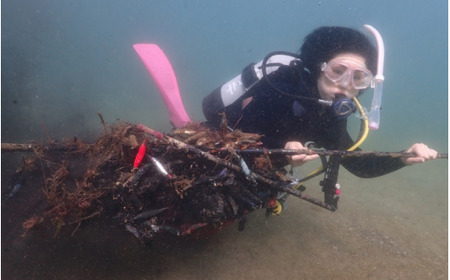 【返礼品なし】天神崎の自然を守るための寄附【tjz006】