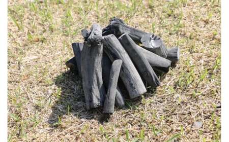 紀州備長炭　BBQ用 3kg / 和歌山 田辺市 BBQ バーベキュー 炭 備長炭 紀州 焼肉 キャンプ 七輪 【otm027】