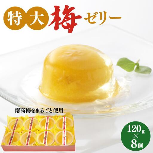 特大梅ゼリー 120g×8個  / 田辺市 紀州南高梅 南高梅 梅干し 梅干 梅 うめ ゼリー  特大 スイーツ おやつ ひんやり 【kbe045-1】
