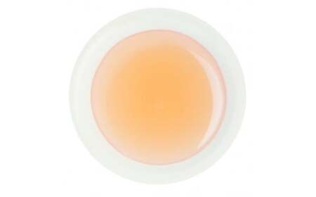 梅酢2種セット/ 紀州南高梅 南高梅 梅干し 梅干 梅 うめ 酢 調味料 和歌山 田辺市 【isg041-1】